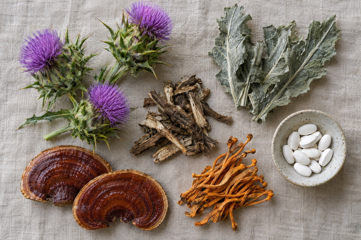 Chardon-Marie, champignons reishi et cordyceps et plantes séchées sur du lin