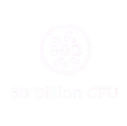 Probiotic icon — Zerean formula with 60 billion CFU for gut and digestive health.