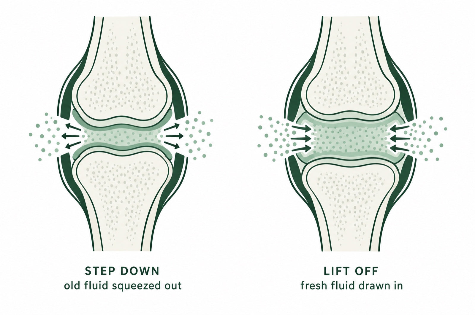 And that fluid only refreshes when you move.